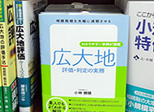 書店に並ぶ広大地評価・判定の実務
